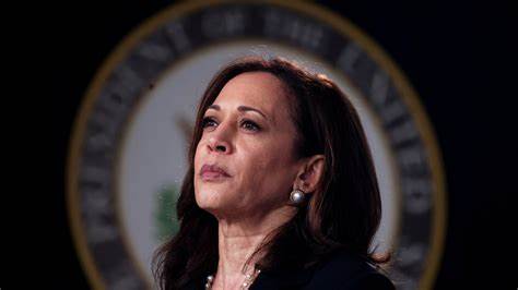 Did Kamala Harris Really Criticize Bitcoin? Here’s The Truth! - Crypto Adventure
