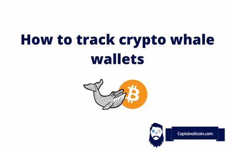 Beste Wal-Wallet-Tracker 2024 – Sehen Sie, was Wale kaufen – Captain Altcoin
