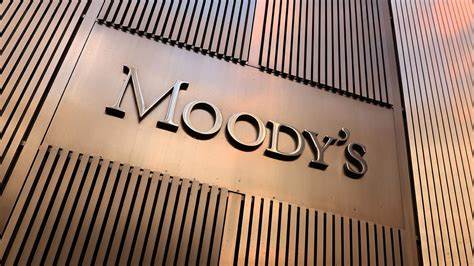 Retail Investors Risk Ominous Opportunity Cost With Private Investments, Moody’s Warns