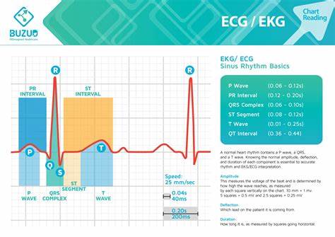 How to get my ECG data?