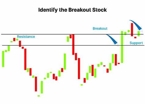 Top Funds Savor This Breakout Stock. Here's Why