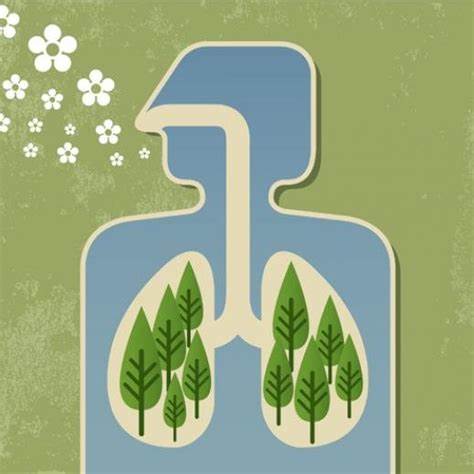 Better air quality is the easiest way not to die