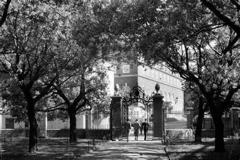 Opinion: Harvard Derangement Syndrome