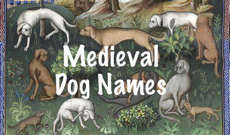 1,065 Unique Dog Names from the Middle Ages (2024)