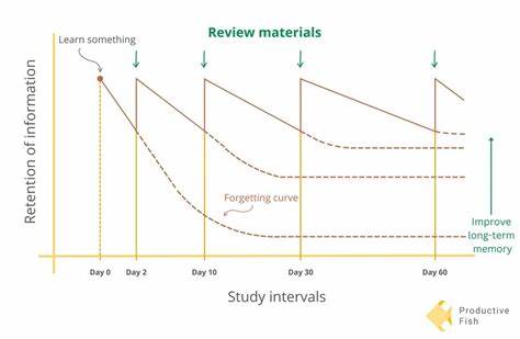 Spaced Repetition Memory System