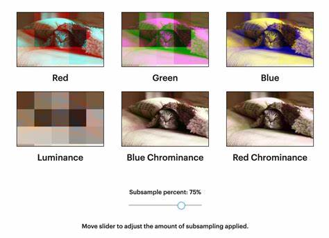 Unraveling the JPEG (2019)