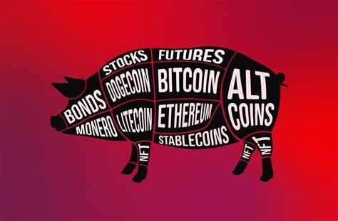 Looking for love in all the wrong places? Beware of 'Pig Butchering' Cryptocurrency Scam