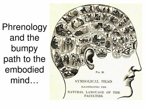 Phrenology's Bumpy Path