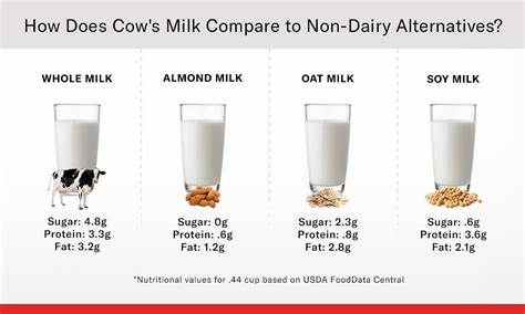 The dairy companies also present in dairy alternatives