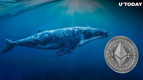 Ethereum Whale Supply Surges as They Acquire 43% of All ETH