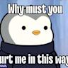 Pudgy Penguins