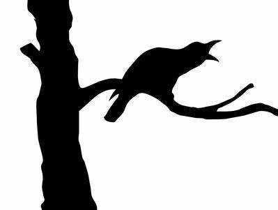 Escape from Meriden – The Crow Is Watching