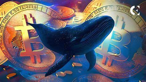 Bitcoin Whales Panic With Bears In Control, XRP Price Tanks, Dogecoin Fails To Hold, What’s Next? - Analytics Insight