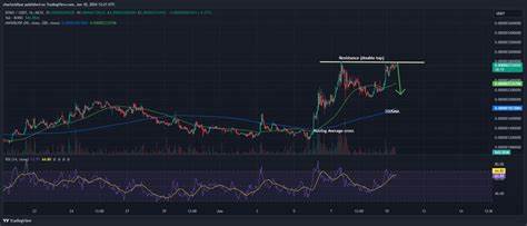 Is It Too Late To Buy BOBO? BOBO Price Soars 92% In A Week And This Might Be the Next Crypto To Explode - Inside Bitcoins