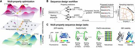 Functional, multi-objective protein design using continuous relaxation