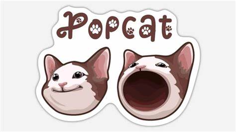 Assessing why POPCAT’s price may be at risk of 15% decline - AMBCrypto News