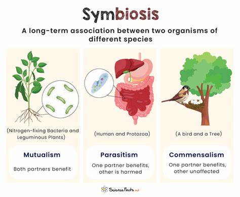 LivingLoom: Human-Plant Symbiosis via Integrating Living Plants into Textiles