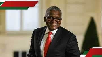 Aliko Dangote-Backed Firm Acquires Kenya’s Oldest Tour Operator, Betting On Tourism Growth