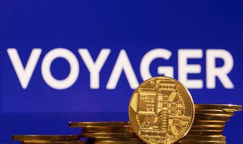 Möglicherweise habe ich meine Ersparnisse durch den Krypto-Crash der Voyager-Insolvenz verloren – Business Insider
