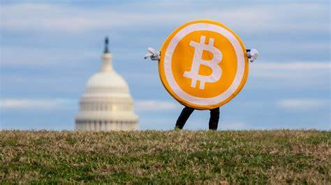 Crypto industry at odds over how to influence 2024 election - Washington Examiner