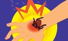 House orders Pentagon to review if it exposed Americans to weaponised ticks 2019