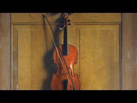 Episode 6: Jan Van Der Vaardt's Trompe L'oeil Violin