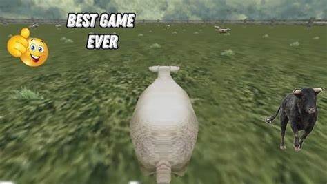 I built a physics-based sheep battle royale to unwind–and it kind of exploded