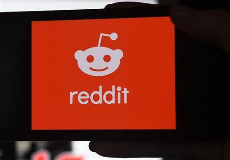 Cryptocurrency is most popular theme on Reddit in 2021 with 6.6m mentions
