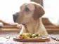 Freshpet, Inc. (FRPT): A Bull Case Theory