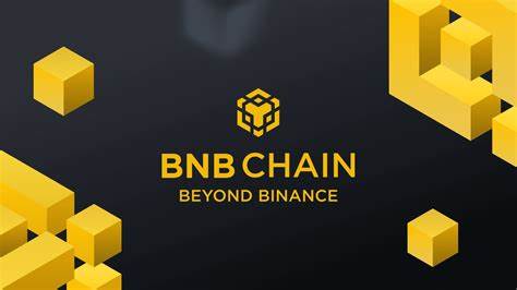 BNB Chain's Remarkable Growth: $2 Billion Stablecoin Market Cap Boost and $100M Liquidity Program