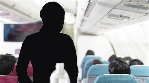 What You Don't Know About The Lives of Flight Attendants - TheStreet