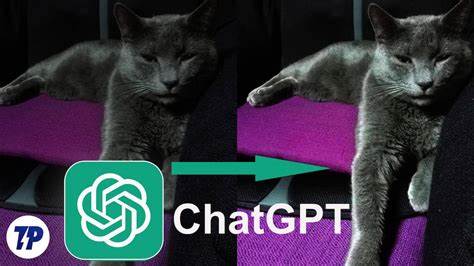 Show HN: GPT Paint – instruct ChatGPT with edit shapes, notes, and references