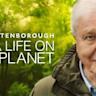 David Attenborough at 99: 'I will not see how the story ends'
