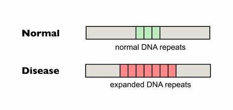 Editing repeats in Huntington's:fewer somatic repeat expansions in patient cells