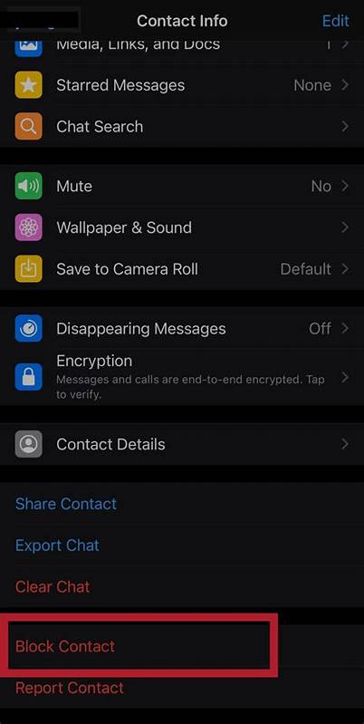 How to block spam messages on WhatsApp - Mashable
