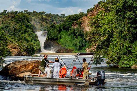 Why Combine Uganda and Rwanda for Wildlife Adventure Safaris
