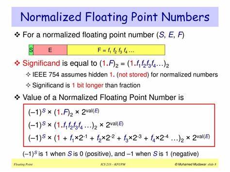 The Secrets of Floating-Point Numbers