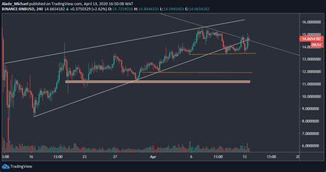 BNB Surges Nearly 5% With Strong Volume Support Suggesting Institutional Accumulation