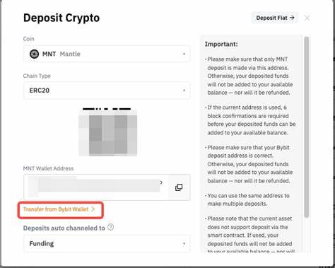 How to Deposit and Withdraw using Bybit Wallet (Web3) - bybit.com