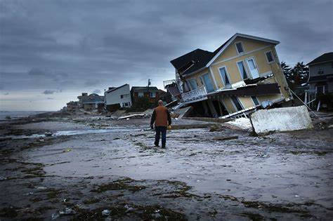 Hollywood's big lie about disasters: The natural reaction is generosity