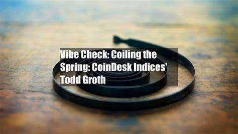 DAOs Need a Vibe Check - CoinDesk