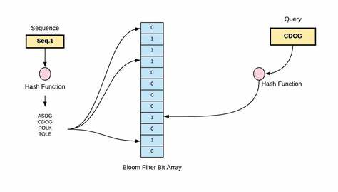 Bloom Filters