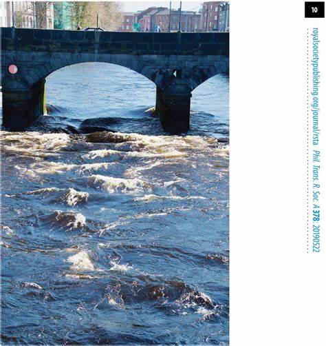 The fluid mechanics of poohsticks (2020)