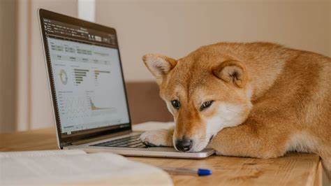 What Is Bonk Coin and Is It a Real Cryptocurrency Worth Investing Your Money In? - Bankrate.com