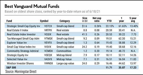 Is Vanguard European Stock Index Fund (VEUSX) the Best International Index Fund to Invest In?
