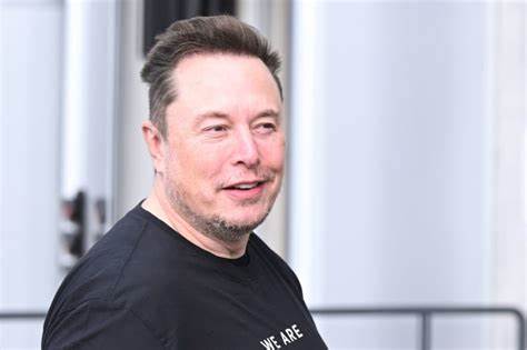 Tesla board denies launching search for Musk's successor