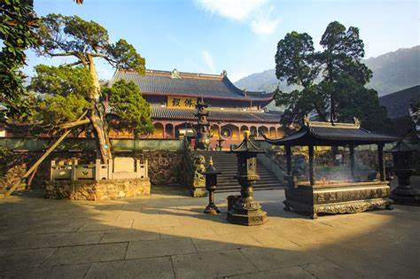 Endangered trees preserved for centuries inside Chinese temples
