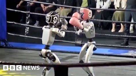 Humanoid robots fight in Chinese kick-boxing competition
