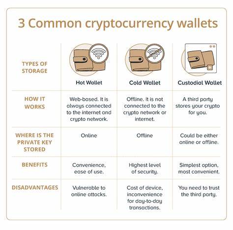 How to Store Your Crypto Safely: Wallets Explained