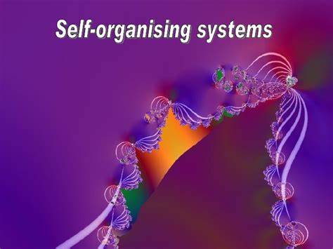 Self-organizing systems: what, how, and why?